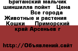 Британский мальчик шиншилла-пойнт › Цена ­ 5 000 - Все города Животные и растения » Кошки   . Приморский край,Арсеньев г.